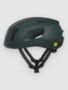 pargasite green matt