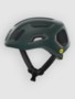 pargasite green matt