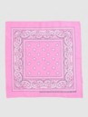 Empyre Paisley Bandana