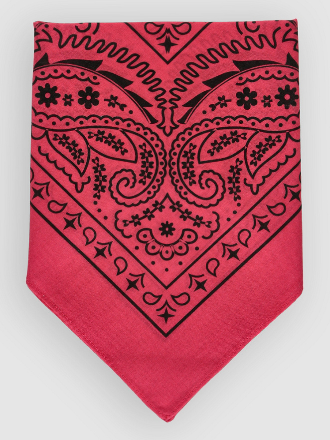 Empyre Paisley Bandana