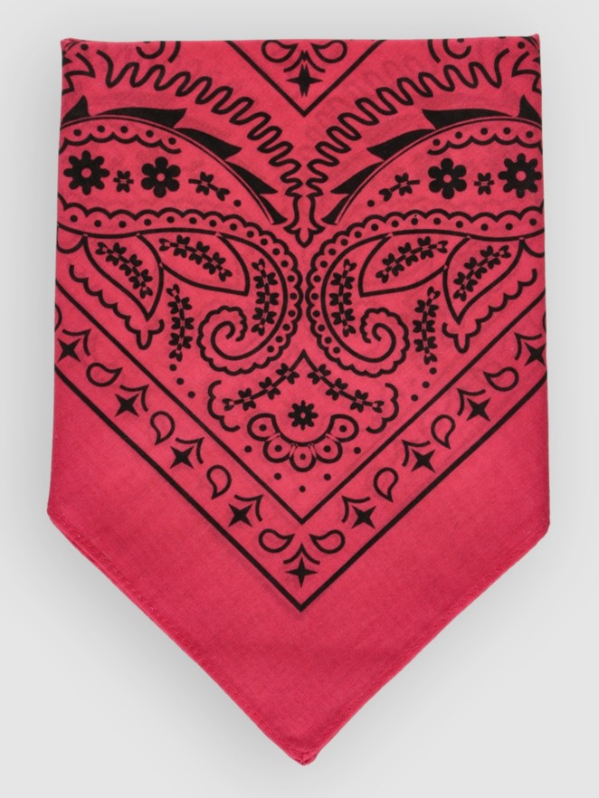 Empyre Paisley Bandana
