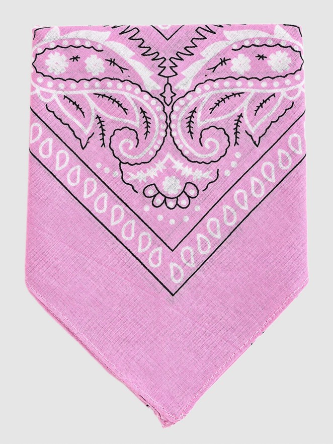 Empyre Paisley Bandana