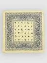 Empyre Paisley Bandana
