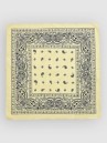 Empyre Paisley Bandana