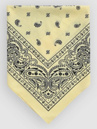 Empyre Paisley Bandana