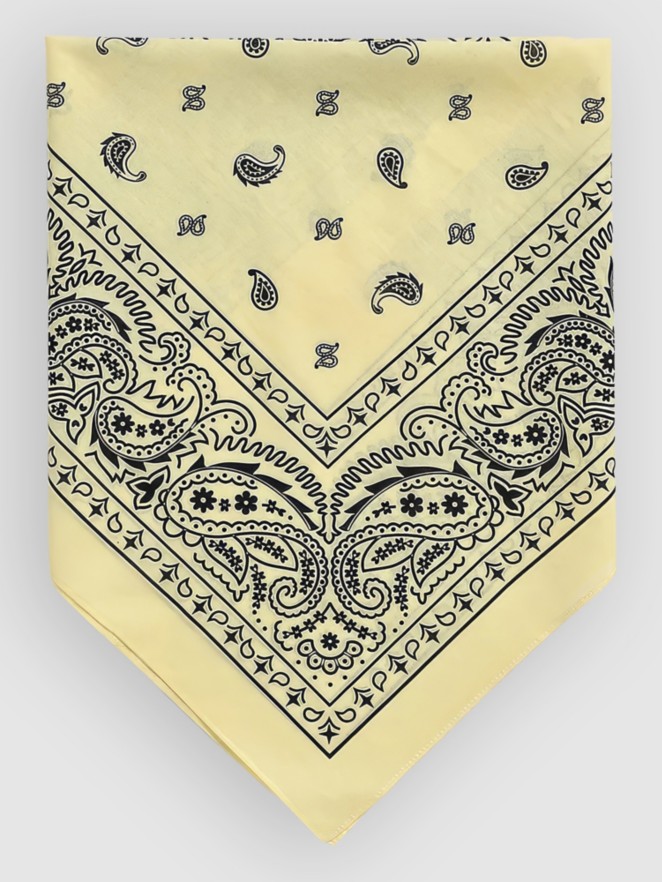 Empyre Paisley Bandana