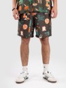 The Dudes European Fantasy Brown Boardshorts