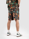 The Dudes European Fantasy Brown Boardshorts