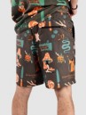 The Dudes European Fantasy Brown Boardshorts