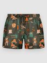 The Dudes European Fantasy Brown Boardshorts