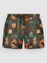 The Dudes European Fantasy Brown Boardshorts