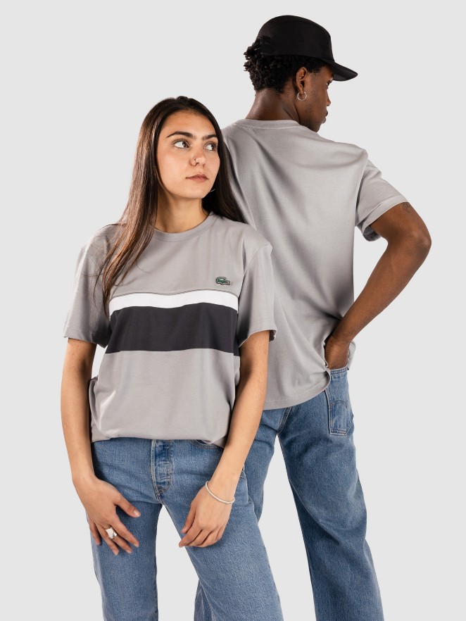 Lacoste Regular Fit Colorblock Cotton T-Shirt