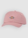 Dickies Hardwick Cap