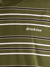 Dickies East Liberty Stripe T-shirt