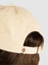 Dickies Duck Canvas Dad Cap