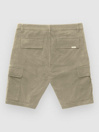 Etnies Renegade Cargo Shorts
