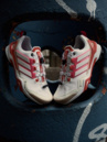 adidas Terrex Skychaser Shmoofoil GTX Zapatillas Deportivas