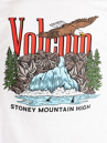 Volcom Stoney Mountaint T-Shirt
