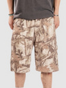 Ninth Hall Waylay -Painter Shorts