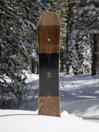 Arbor Element Rocker 2026 Snowboard