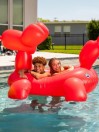 Big Mouth Toys Giant Balloon Animal Pool Float