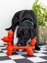 Big Mouth Toys Balloon Dog Pet Bowl