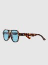 CHPO Cocas Turtle Brown Sonnenbrille