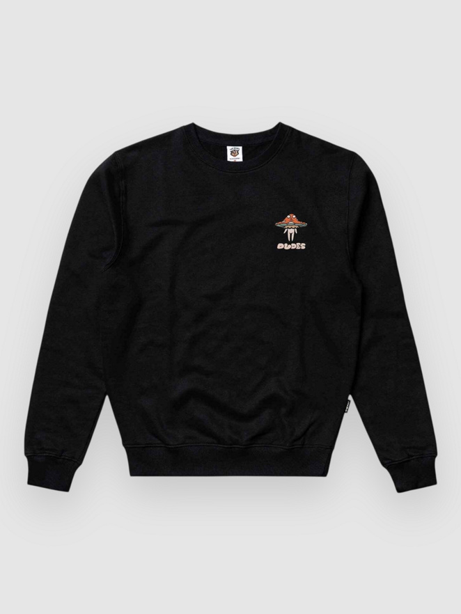 The Dudes Food For Thoughts Sweater