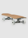 Loomi Dolphin 7.75″ Cruiser