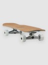 Loomi Dolphin 7.75″ Cruiser