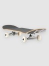 Birdhouse Hawk Falcon III 7.75″ Complete