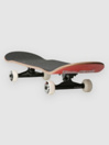 Birdhouse Hawk Falcon 2 8″ Komplet