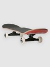 Birdhouse Hawk Falcon 2 8″ Komplet