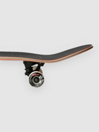 Birdhouse Hawk Falcon 2 8″ Komplet