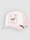 Goorin Bros Silly Goose Mini Cap