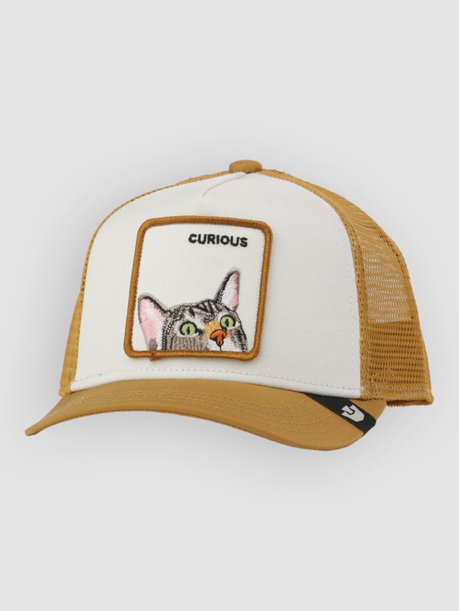 Goorin Bros Curious Cat Mini Cap