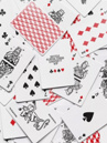 Carhartt WIP Bicycle Playing Cards