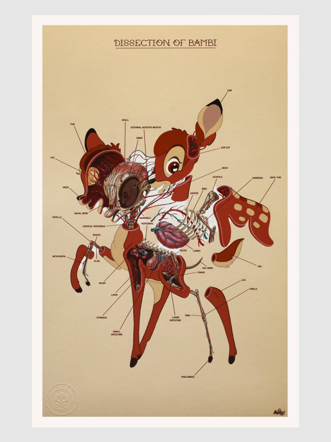 Nychos Dissection of Bambi - Anatomy Sheet Art