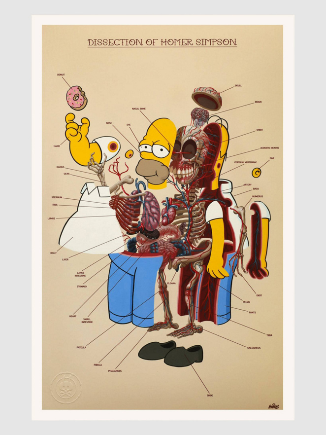 Nychos Dissection of Homer Simpson - Anatomy Art