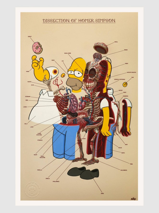 Nychos Dissection of Homer Simpson - Anatomy Art