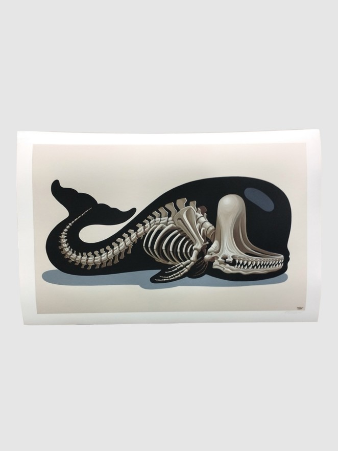 Nychos Sperm Whale Skeleton Art