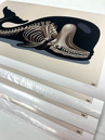 Nychos Sperm Whale Skeleton Fine Art Print