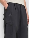 adidas Terrex Cargo Pants