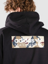 adidas Skateboarding FSBS Logo Hoodie