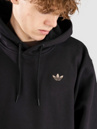 adidas Skateboarding FSBS Logo Hoodie