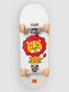 Tricks Lion 7.87″x24.21″ MINI Complete