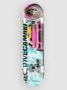 DGK Camber Club 8″ Complete