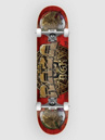 DGK La Raza 8.25″ Complete