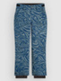 blue swirl zebra