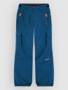 O'Neill Fwc'Cruz Cargo Kids Pants